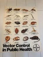 Ongediertebestrijding door Bayer, Ophalen of Verzenden, Natuur en Biologie