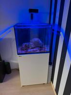 Red sea reefer 170L, Dieren en Toebehoren, Vissen | Aquaria en Toebehoren, Ophalen, Zo goed als nieuw, Leeg aquarium