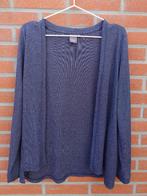 blauw glittervest – lekker sparkly ichi maat XS/S, Blauw, Ophalen of Verzenden, Zo goed als nieuw, Maat 34 (XS) of kleiner