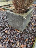 Betonnen bloembak, Tuin en Terras, Ophalen, Gebruikt, Minder dan 60 cm, Vierkant