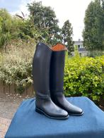 Petrie rijlaarzen nieuw maat 39, Dieren en Toebehoren, Paardrijkleding, Ophalen of Verzenden, Nieuw, Dressuur, Schoeisel