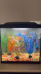 Aquarium met pomp, verwarming en toebehoren, Dieren en Toebehoren, Vissen | Aquaria en Toebehoren, Ophalen, Nieuw, Gevuld zoetwateraquarium