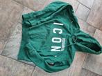 Dsquaered2/Icon groene sweater, maat M, Kleding | Heren, Truien en Vesten, Dsquared2, Maat 48/50 (M), Ophalen of Verzenden, Gedragen