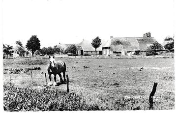 970459 Grollo Drenthe 1966 Boerderij Café Hofstede nette  beschikbaar voor biedingen