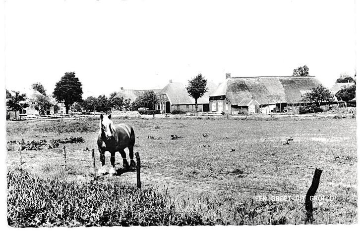 970459 Grollo Drenthe 1966 Boerderij Café Hofstede nette, Verzamelen, Ansichtkaarten | Nederland, Ongelopen, Drenthe, 1960 tot 1980