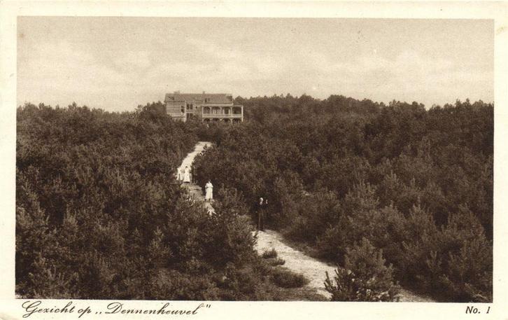 Gezicht op Dennenheuvel - Ossendrecht, N.B. - ongelopen, Verzamelen, Ansichtkaarten | Nederland, Ongelopen, Noord-Brabant, Voor 1920