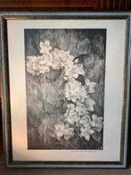 Aart van Dobbenburgh (1899-1988) - Dahlia Lithografie 1977, Ophalen of Verzenden