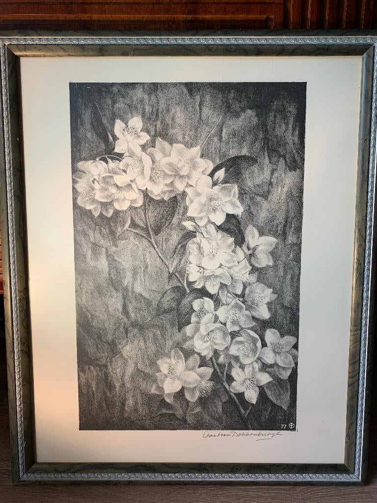 Aart van Dobbenburgh (1899-1988) - Dahlia Lithografie 1977, Antiek en Kunst, Kunst | Litho's en Zeefdrukken, Ophalen of Verzenden