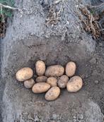 Consumptie aardappelen, Diversen, Ophalen