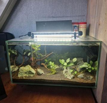fluval edge aquarium beschikbaar voor biedingen