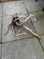 Aquariumhout, 3 grote stukken kienhout, Dieren en Toebehoren, Vissen | Aquaria en Toebehoren, Ophalen, Plant(en), Steen of Hout