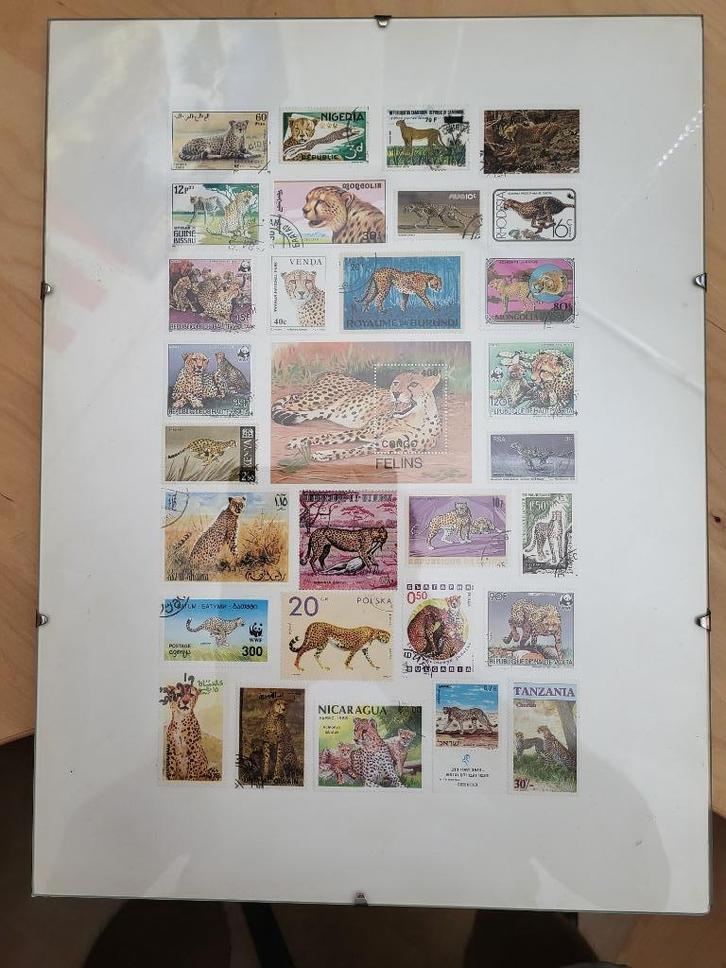 Ingelijste postzegels (thema luipaard), Postzegels en Munten, Postzegels | Thematische zegels, Gestempeld, Dier of Natuur, Ophalen