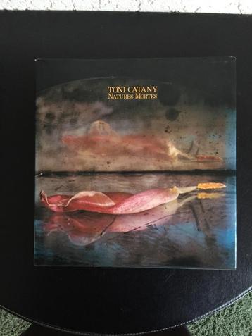 Toni Catany - Natures mortes - 1995 beschikbaar voor biedingen