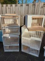 Duivenbroedvakken, Dieren en Toebehoren, Vogels | Hokken en Kooien, Ophalen of Verzenden, Hout, Vogelkooi