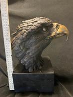 Bronzen arendskop 34 cm XXXL A.Thornbum 14 kilo zuiver brons, Ophalen of Verzenden