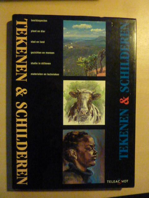 M. Buddemeijer - Tekenen & schilderen Teleac, Boeken, Hobby en Vrije tijd, Zo goed als nieuw, Tekenen en Schilderen, Ophalen of Verzenden