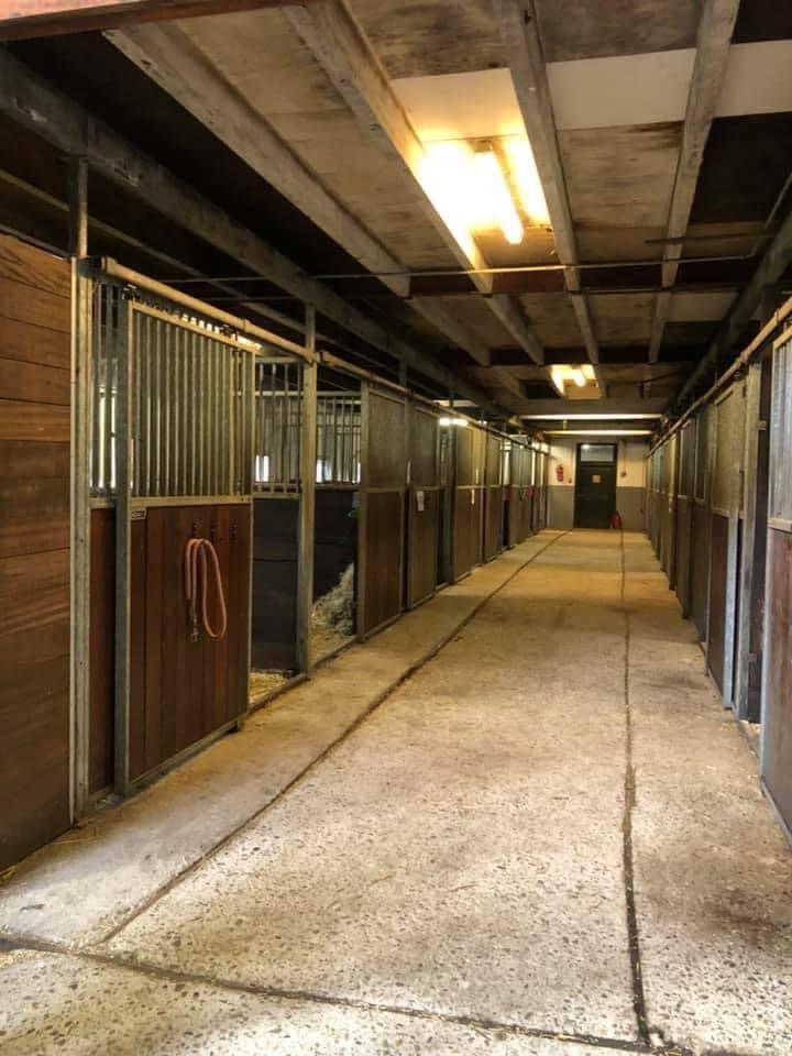 Pensionstalling aangeboden nabij Purmerbos, Dieren en Toebehoren, Stalling en Weidegang