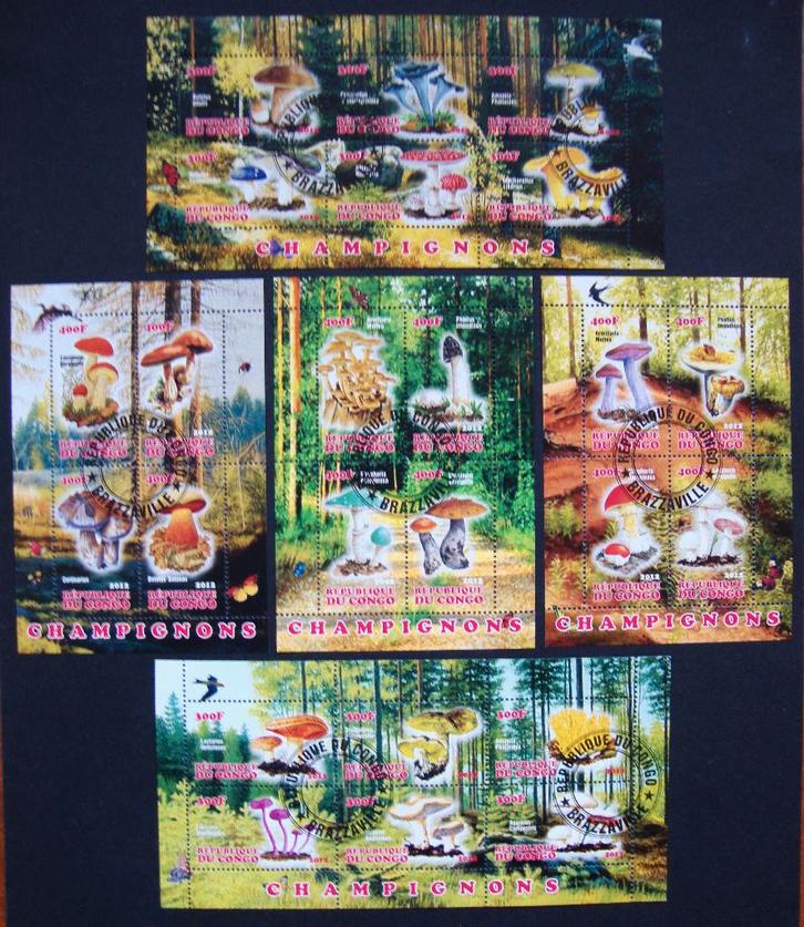 - 653 - 5 Blokken met Champignons. 24 zegels., Postzegels en Munten, Postzegels | Thematische zegels, Gestempeld, Dier of Natuur