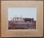 Marssum originele grote foto boerderij koeien Kuperus Marsum, Verzamelen, Foto's en Prenten, Ophalen of Verzenden, Voor 1940, Gebruikt