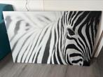 Zebra canvas, Print, Ophalen of Verzenden, Zo goed als nieuw, 75 cm of meer