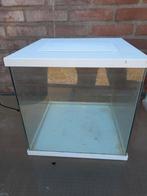 3 aquariums koopje alleen deze week, Dieren en Toebehoren, Vissen | Aquaria en Toebehoren, Ophalen of Verzenden