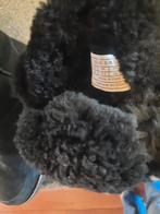 Uggs dames laarsen 2x buiten geweest zwart 39, Ophalen of Verzenden, Zwart