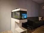 Aquarium incl ombouw. filter, gasfles, gasdrukregelaar etc, Dieren en Toebehoren, Vissen | Aquaria en Toebehoren, Ophalen of Verzenden