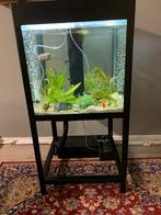 Op maat gemaakt vierkant aquarium 210 liter, Dieren en Toebehoren, Vissen | Aquaria en Toebehoren, Ophalen, Gebruikt, Sierelement