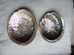 Abalone schelpen oftewel zeeoor. Z.O., Verzamelen, Mineralen en Fossielen, Ophalen of Verzenden, Schelp(en)