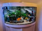 Aquarium Juwel Trigon 190, met filter, Luchtpomp, led lamp, Dieren en Toebehoren, Vissen | Aquaria en Toebehoren, Ophalen, Gebruikt