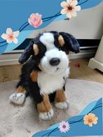 Douglas berner senner, Ophalen of Verzenden, Nieuw, Hond