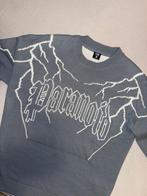 FSBN Trui - Maat L, Kleding | Heren, Ophalen, Zo goed als nieuw, Maat 52/54 (L), Grijs