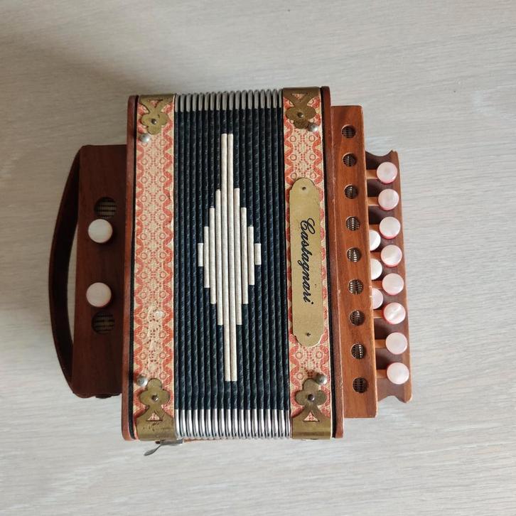 Castagnari trekharmonika., Muziek en Instrumenten, Accordeons, Zo goed als nieuw, 120-bas, Ophalen of Verzenden