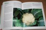 Groentebijbel. Van aardappelpuree tot zuringsoufflé., Boeken, Ophalen of Verzenden, Zo goed als nieuw, Italië