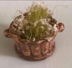 Poppenhuis of barbie plantenbak tuinplanten 2cm nog 3, Verzamelen, Ophalen, Poppenhuis