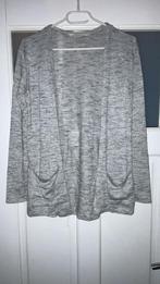 Een glitter vest., Ophalen, Gedragen, Maat 34 (XS) of kleiner, Grijs