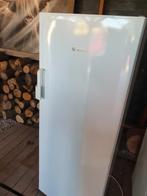 A+ Bosch Big Box vriezer, Witgoed en Apparatuur, Vriezers en Diepvrieskisten, Zo goed als nieuw, Energieklasse A of zuiniger, 140 tot 160 cm