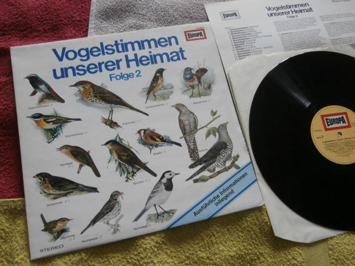 LP- Bernd Eggert - Vogelstimmen Unserer Heimat Folge 2., Cd's en Dvd's, Vinyl | Overige Vinyl, 12 inch, Ophalen of Verzenden