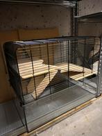 Knaagdieren kooi, Dieren en Toebehoren, Knaagdieren en Konijnen | Hokken en Kooien, Ophalen, Gebruikt, Kooi, Minder dan 60 cm