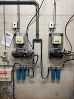 Vernevelkoelingen [800], Dieren en Toebehoren, Boekhorst Trading, Info@boekhorst.com, Horssen