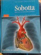 Anatomie, Ophalen of Verzenden, Zo goed als nieuw, Bohn Stafleu van Loghum, Beta