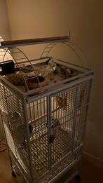 Papegaai kooi, Ophalen of Verzenden, Nieuw, Metaal, Vogelkooi