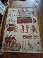 Gazelle fietsen rijwielen poster 1974, Ophalen of Verzenden, Zo goed als nieuw, Overige typen