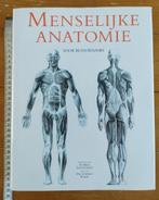 Menselijke Anatomie Voor Kunstenaars; Dr.György Fehér, Boeken, Dr.György Fehér, Ophalen of Verzenden, Zo goed als nieuw, Alpha