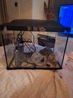Aquarium met alle toebehoren zoals verwarming en pomp ect ec, Ophalen of Verzenden, Zo goed als nieuw, Leeg aquarium