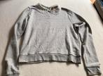 HM trui mt s, H&M, Ophalen of Verzenden, Zo goed als nieuw, Maat 36 (S)