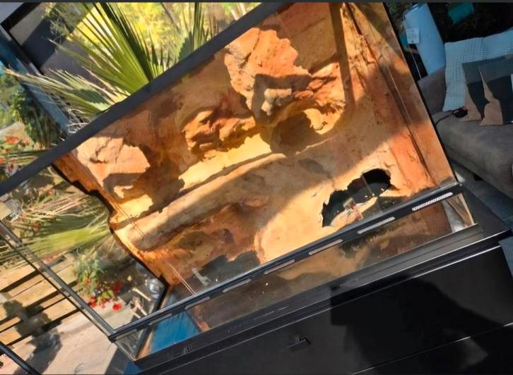 Terrarium, Dieren en Toebehoren, Reptielen en Amfibieën | Toebehoren, Zo goed als nieuw, Ophalen