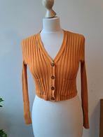 Prachtig zacht oranje vestje van Kookai, Maat 38/40 (M), Ophalen of Verzenden, Zo goed als nieuw, Kookai