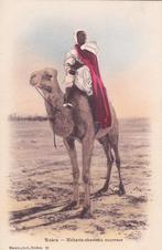 A003 Algerije - Biskra - Meharis chameau courreur, Verzamelen, Verzenden, 1920 tot 1940, Ongelopen, Buiten Europa