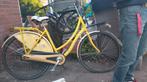 SPARTa GRANNY D53 RN GEEL, 50 tot 53 cm, Ophalen, Zo goed als nieuw